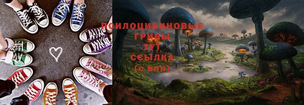 спиды Мегион