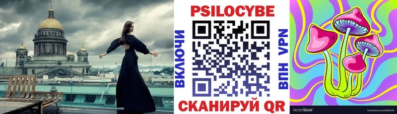OMG зеркало  Инта  Псилоцибиновые грибы мухоморы 